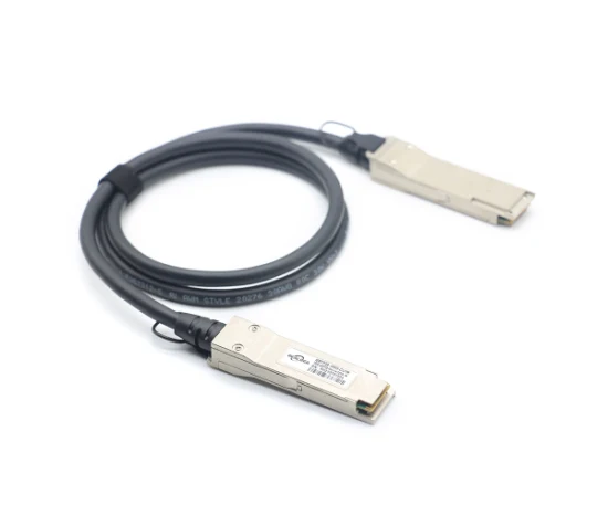 200g Qsfp-Dd Dac 200g ~ 2 x 100g Qsfp28 직접 연결 케이블 200g 패시브 구리 Twinax 케이블